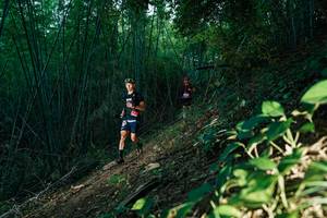 BIB: 
                            <button type="button" onclick="openModal(28123107)" class="btn btn-primary btn-sm float-right btn-popup" data-toggle="modal" data-target=".modal-high-quality">
                        <i class="fas fa-shopping-cart"></i> Add to Cart
                    </button>
                                            <button type="button" onclick="isThisMe(28123107, true)" class="btn btn-success btn-sm float-right btn-popup btn-isme hidden" data-toggle="tooltip" data-placement="bottom" title="นี่คือรูปของคุณใช่ไหม คลิกที่นี่เพื่อเอาเข้าอัลบั้ม">
                        <i class="fas fa-plus"></i> Add to album
                    </button>
                    <button type="button" onclick="isThisMe(28123107, false)" class="btn btn-warning btn-sm float-right btn-popup btn-isnotme hidden">
                        <i class="fas fa-ban"></i> Remove from album
                    </button>